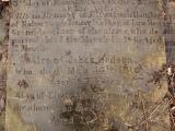 image of grave number 432859
